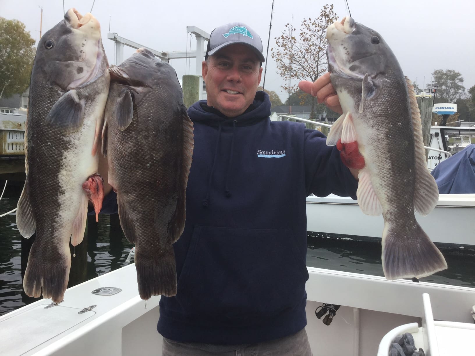 Long Island Blackfish Season Longevity Custom Charters